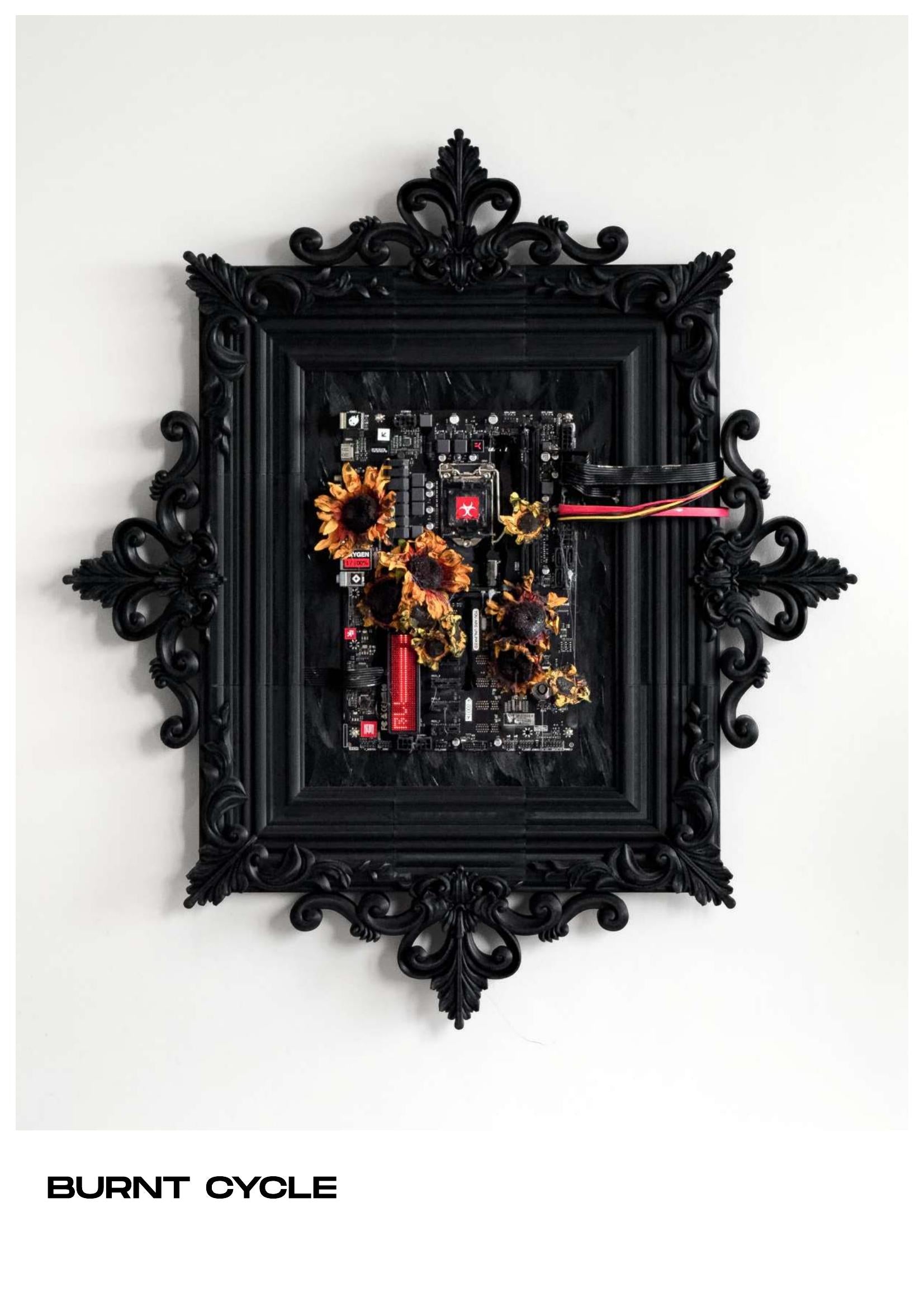 burnt-cycle — p-23.jpg